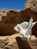 Turkish cotton grown in the Aegean region for premium handwoven textiles