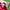 Promotion banner