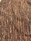 Brown Linen Textured Linen Fabric By The Yard Natural Fabrics.
