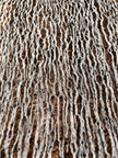 Tissu en lin noir et blanc par cour, tissu en coton biologique, tissus naturels semi-transparents texturés à la main.
