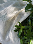 Check Weave Sheer Neutral Cotton Fabric