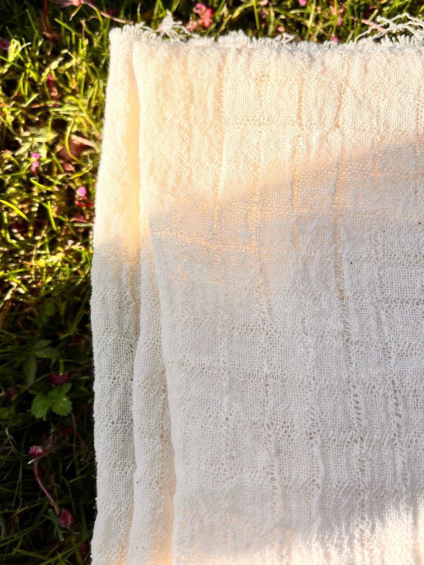 Check Weave Sheer Neutral Cotton Fabric