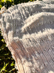 Textured Cotton Stretchy Crinkle Fabric.