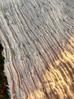 Textured Cotton Stretchy Crinkle Fabric.