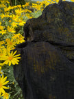 Stretchy Crinkle Cotton Fabric, Textured Surface, Black & Natural White & Butter Yellow