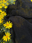 Stretchy Crinkle Cotton Fabric, Textured Surface, Black & Natural White & Butter Yellow
