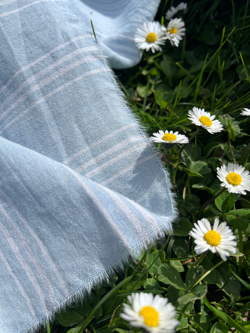 Cotton Light Weight Blue Yarn Dyed Fabric With Pin Stripes.