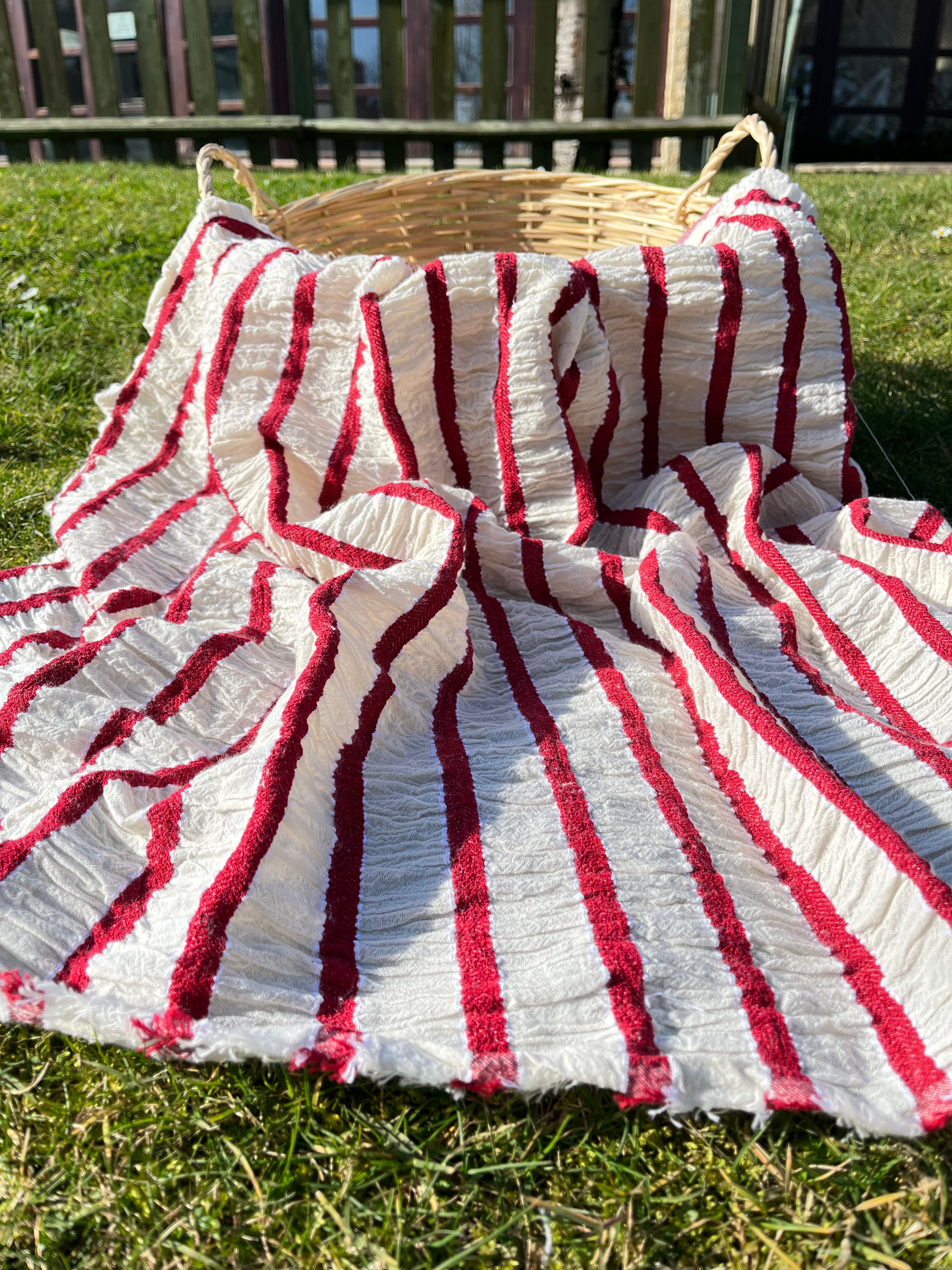 Red Striped Cotton Crinkle Fabric Stretchy.