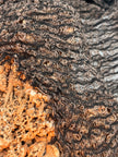 Brown Linen Textured Linen Fabric By The Yard Natural Fabrics.