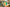 Promotion banner
