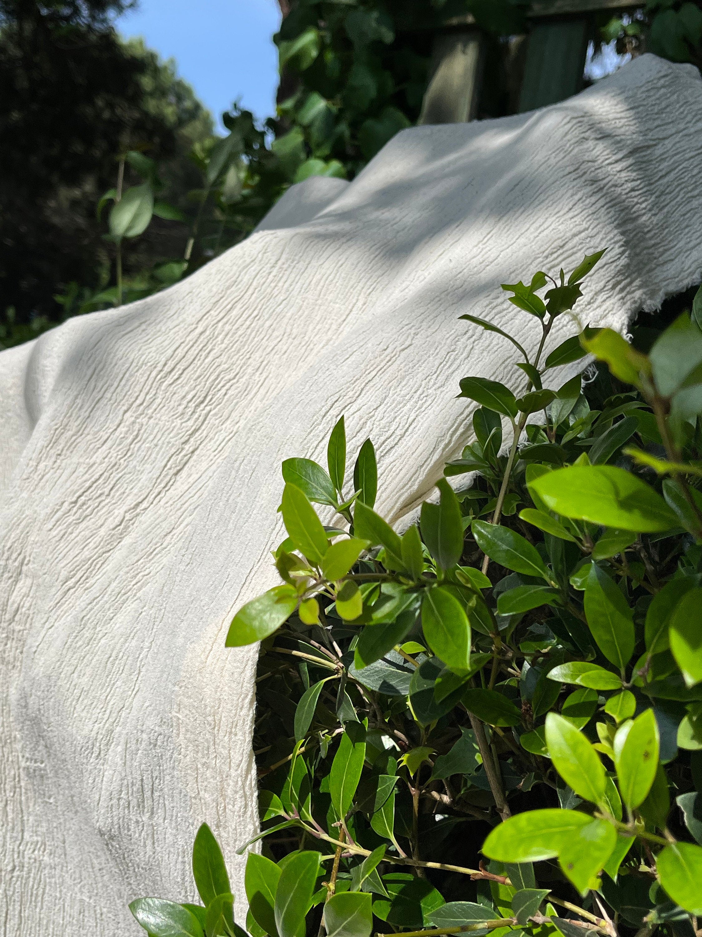 Tissu en coton froissé extensible neutre, surface texturée, coton tissé à la main blanc cassé, tissus semi-transparents, non blanchis et tissés à la main biologiques.