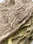 Camel Unique Natural Sheer, Textured Cotton Linen Mix Special Fabrics.